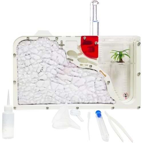EXBEPE Ant Farm Castle for Kid Acrylic Ant Colony Observation Kit with Sand - style: S12