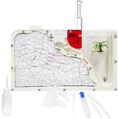 EXBEPE Ant Farm Castle for Kid Acrylic Ant Colony Observation Kit with Sand - style: S12