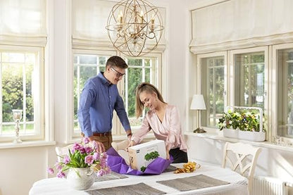Click & Grow Indoor Herb Garden Kit with Grow Light | Smart Garden for Home Kitchen Windowsill | Easier Than Hydroponics Growing System | Vegetable Gardening Starter (3 Basil Pods Included), White - color: White