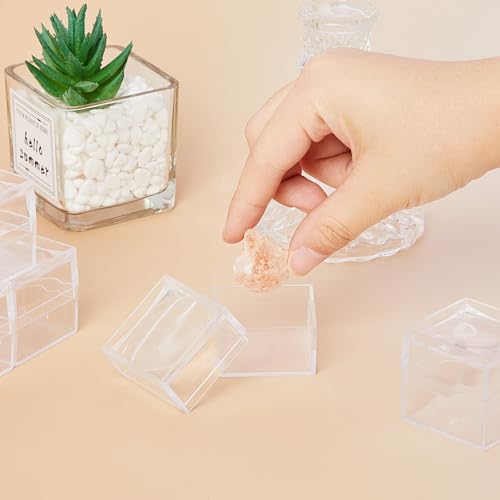 DoubleFill 10 Pack Rock Display Case Clear Rock Collection Boxes Storage