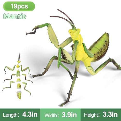 7 Pcs Lifelike 3D Insect Puzzle Toys,1:1 Scale Replica Bug Building Blocks,Slot-Together Assembly Educational Figures,Ideal Gift for Boys Girls Ages 5 6 7 8+,Perfect for Classroom and Party - style: 3D Insect Puzzle