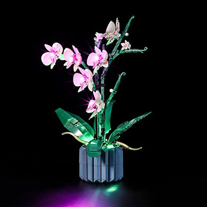 LIGHTAILING Led Light Compatible with Lego-10311 Orchid（Only Light,No Model - style: (Only Light) 10311 Orchid