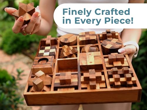 BSIRI 16 in 1 Wooden Brain Teaser Puzzles for Adults and Seniors Interlocking 3D Mini Wood Mind Games Hand Puzzle Teasers Set Toys Coffee Table Games Gift - style: 16 Puzzle Set