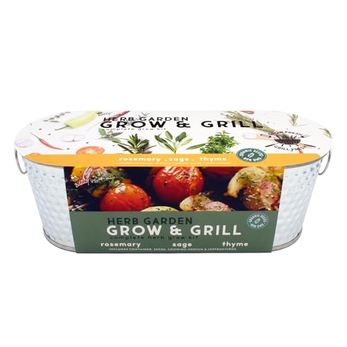 Buzzy Seeds Grow & Grill Herb Kit, Metal Windowsill Planter, Rosemary Sage - color: Silver