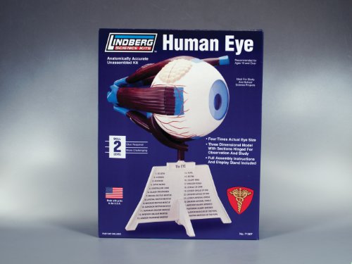Lindberg Human Eye