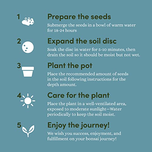 Bonsai Tree Kit for Beginners & Plant Lovers - Grow Your Own Bonsai