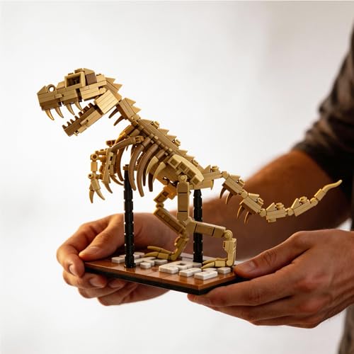 T-Rex Skeleton Building Set Model Poseable Joints 316Pcs Office Display