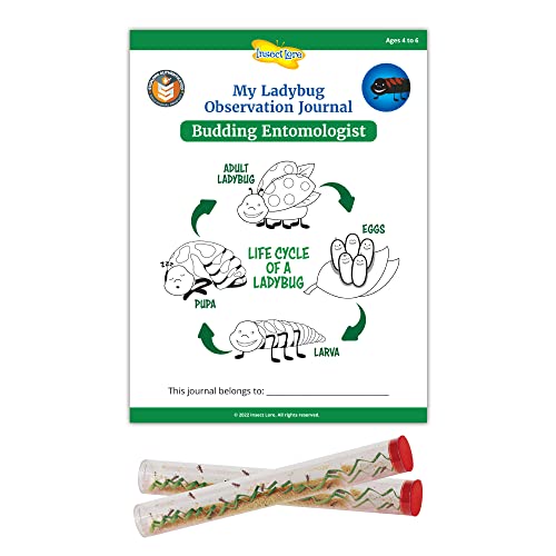 Insect Lore Two Tubes of Ladybug Larvae with STEM Activity Journal - Raise, Observe and Release Pink Spotted Ladybugs - Grown in The USA - Ladybug Kit Refill