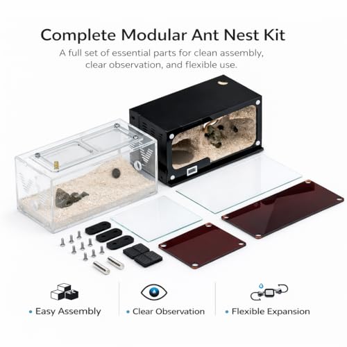 Strata Series - DualView M Ant Nest with Starter kit - size: DualView M
