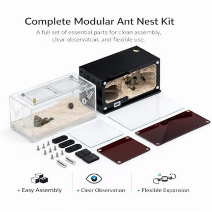 Strata Series - DualView M Ant Nest with Starter kit - size: DualView M