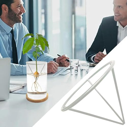 Avocado Growing Bracket Triangular Plant Root Germination Holder - color: Silver