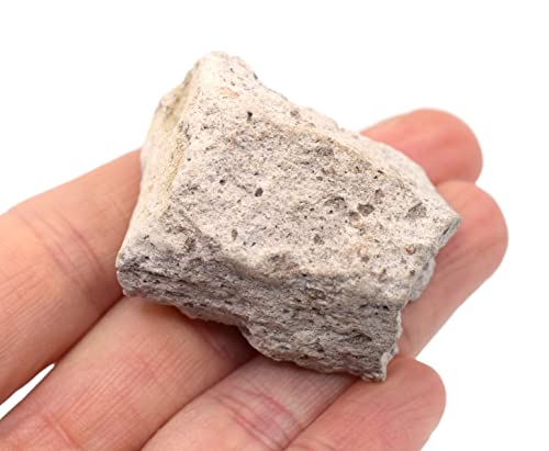 EISCO Raw Rhyolite, Igneous Rock Specimen - Approx. 1" - Geologist Selected & Hand Processed - Great for Science Classrooms