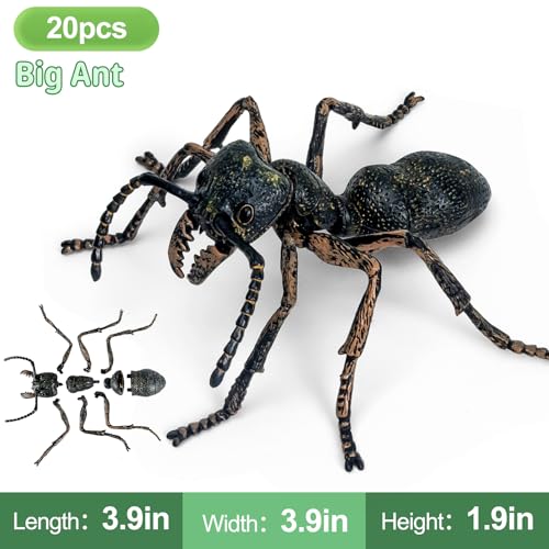 7 Pcs Lifelike 3D Insect Puzzle Toys,1:1 Scale Replica Bug Building Blocks,Slot-Together Assembly Educational Figures,Ideal Gift for Boys Girls Ages 5 6 7 8+,Perfect for Classroom and Party - style: 3D Insect Puzzle