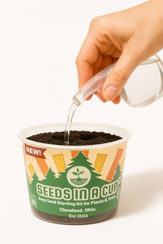 Sycamore Tree Seed Growing Kit | Complete DIY Planter | Unique Mottled Bark Shade Tree | Indoor/Outdoor Plant Starter | Gift Idea - style: Sycamore