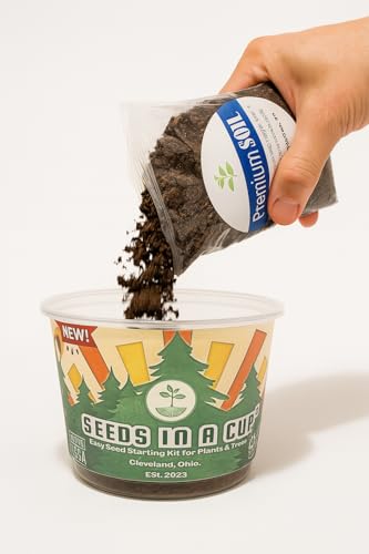 Sycamore Tree Seed Growing Kit | Complete DIY Planter | Unique Mottled Bark Shade Tree | Indoor/Outdoor Plant Starter | Gift Idea - style: Sycamore