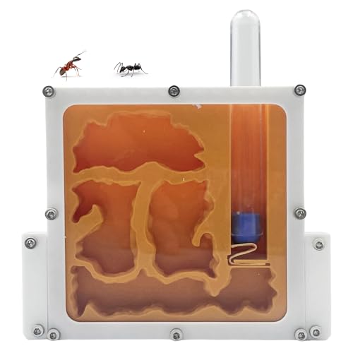 3D Printed Ant Farm Terrarium, Orange Acrylic Housing, Multi-Level Design, Educational Formicarium with Test Tubes for Small Ant Colony