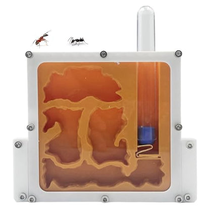 3D Printed Ant Farm Terrarium, Orange Acrylic Housing, Multi-Level Design, Educational Formicarium with Test Tubes for Small Ant Colony