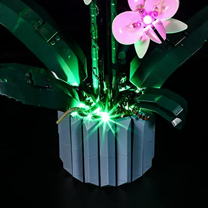 LIGHTAILING Led Light Compatible with Lego-10311 Orchid（Only Light,No Model - style: (Only Light) 10311 Orchid