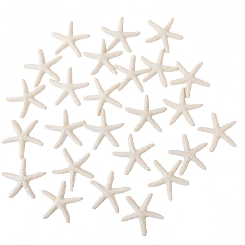 LJY 25 Beige Resin Starfish, 2.3 Inch for Beach Party