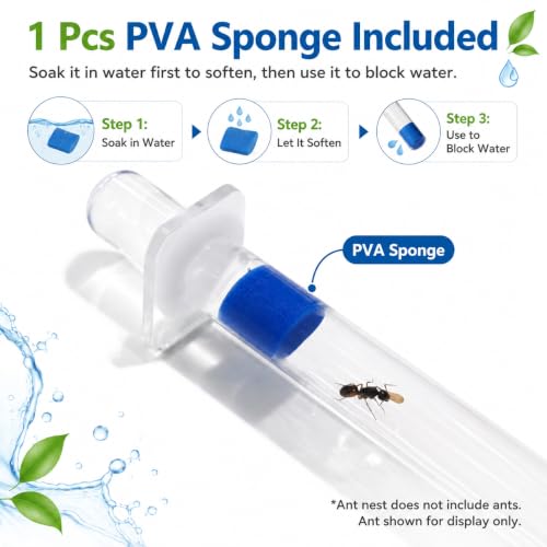 Mini Queen Ant Nest with Test Tube 2 x 2 x 2 Inch 18X180MM Transparent Acrylic Ant Farm for Small Colonies Starter Habitat Observation Formicarium - size: 18mm