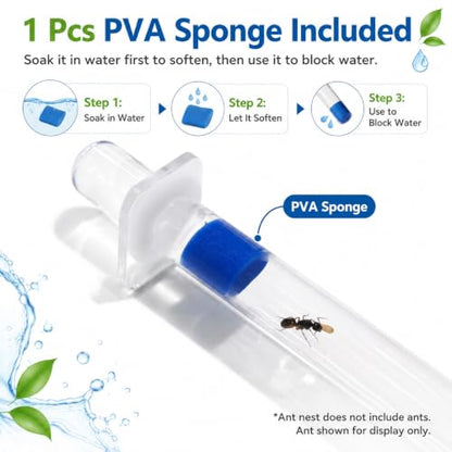 Mini Queen Ant Nest with Test Tube 2 x 2 x 2 Inch 18X180MM Transparent Acrylic Ant Farm for Small Colonies Starter Habitat Observation Formicarium - size: 18mm