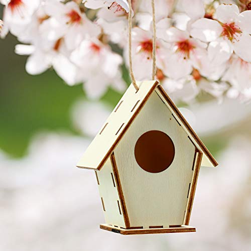 Outus 12 Pcs Wooden Birdhouse Kits, 4 Shapes, Classic Style, 3.6×4 Inch - style: Classic