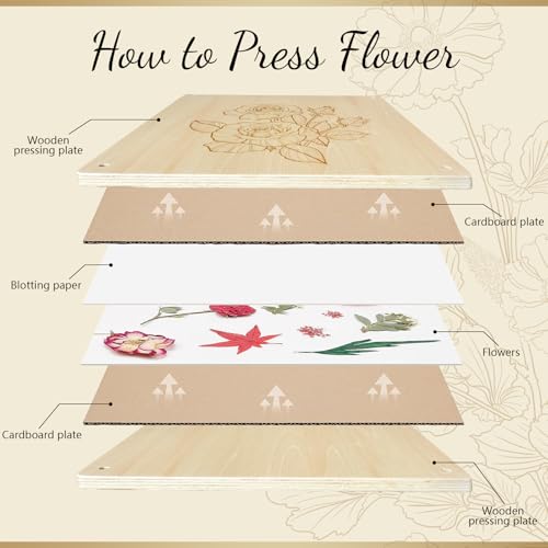 GTQYYF Large Flower Press Kit 10.8 x10.8 inches with Storage Bag,Solid Wood Flower Press Kit - DIY Arts and Craft Kit 10 -Layers, Ideal Gift for Flower & Plant Lovers - size: 10.8 x 10.8 inches