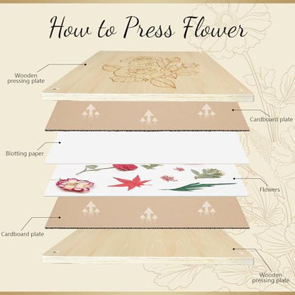 GTQYYF Large Flower Press Kit 10.8 x10.8 inches with Storage Bag,Solid Wood Flower Press Kit - DIY Arts and Craft Kit 10 -Layers, Ideal Gift for Flower & Plant Lovers - size: 10.8 x 10.8 inches