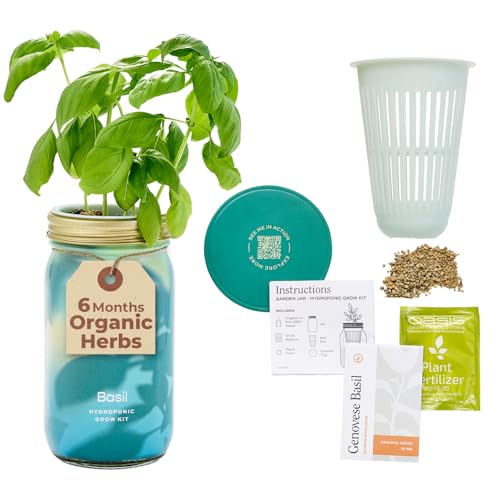 Modern Sprout Mason Garden Jar - Self-Watering Hydroponics Kit - Basil - color: Basil, size: Garden Jars