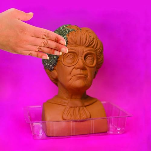 Chia Pet Golden Girls Sophia Terracotta Planter with Seed Pack - style: Golden Girls - Sophia