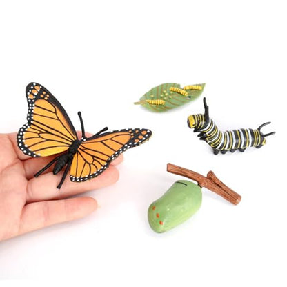 Butterfly Growth Cycle, Animal Growth Cycle Biological Model, Growth Stage Lifelike Butterfly Life Cycle Model Set for Kids Education Insect Themed Party Favors - style: Butterfly