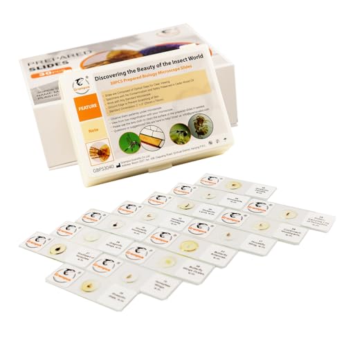30 Prepared Microscope Slides with Specimens for Kids Students - Insects, for Biological Science Lab, Children's Science Education, Homeschooling Use - style: 30PCS Insects