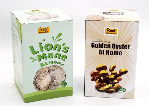 Two Mushroom Grow Kits, 3Lb Each (Golden Oyster & Lion's Mane) - style: Golden Oyster & Lion's Mane