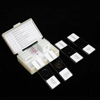 Nervous System Prepared Microscope Slides Set, 9 Pack Nerve Fiber, Motor Neuron, Spinal and More Typical Nervous System Specimens for Biology Science Class