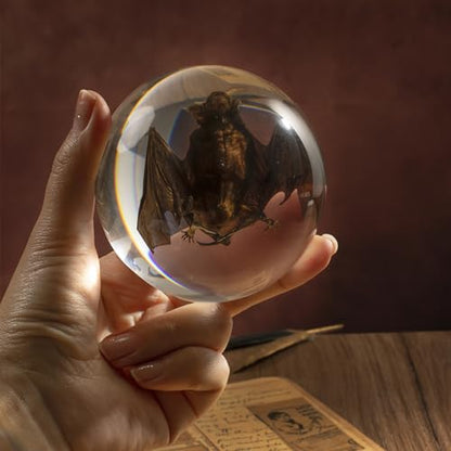 Taxidermy Bat, Real Bat Specimens Animal Specimen in Resin for Science Classroom Science Education, Great Gift for Fans of Taxidermy, Animal Skull, Oddities, Biology(Round 3.5 inch) - color: Taxidermy Bat (Semicircle 3.5 Inch)