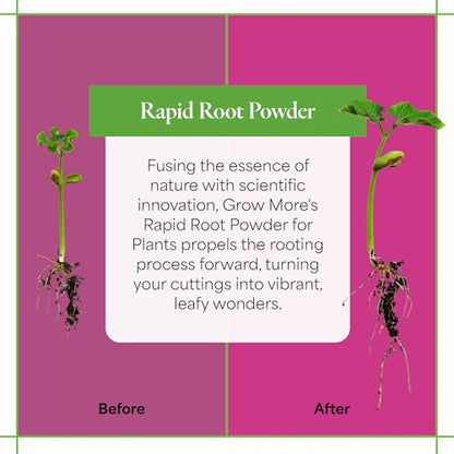 Grow More Rapid Root Powder for Plants (0.3% IBA) - 2oz of Rooting Hormone for Cuttings to Stimulate & Enhance Root Growth - One-Dip Treatment Rooting Powder for Plant Cuttings - Rapid Rooter