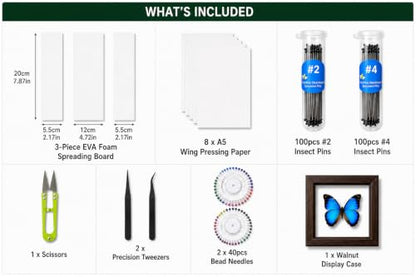 Insect Pinning Kit for Beginners with Walnut Display Case, Butterfly & Bug Specimen Mounting Kit, EVA Foam Spreading Board, Insect Pins, Tweezers, Scissors & Wing Pressing Paper - size: Kit with Walnut Display Case