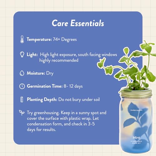 Modern Sprout Mason Garden Jar - Self-Watering Hydroponics Kit - Mint - color: Mint, size: Garden Jars