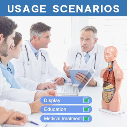 HADWYN 12 Pcs Removable Human Torso Model,20 inch Anatomy Torso Model