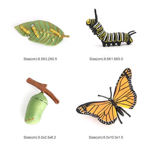 Butterfly Growth Cycle, Animal Growth Cycle Biological Model, Growth Stage Lifelike Butterfly Life Cycle Model Set for Kids Education Insect Themed Party Favors - style: Butterfly