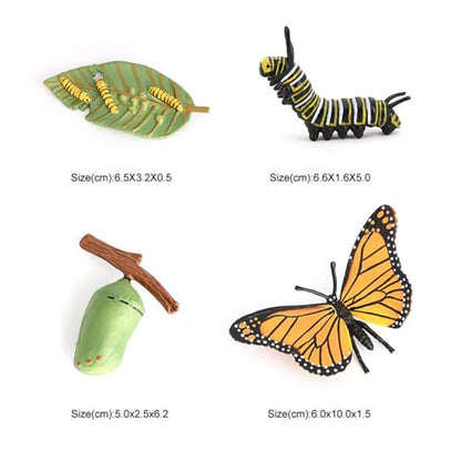 Butterfly Growth Cycle, Animal Growth Cycle Biological Model, Growth Stage Lifelike Butterfly Life Cycle Model Set for Kids Education Insect Themed Party Favors - style: Butterfly