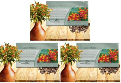 Outsidepride Tropical Milkweed Seeds - 2000 Pcs Perennial, Heat & Humid Tolerant, Pollinator-Friendly Wildflower Seeds, Ideal for Monarch Butterflies, Cut Flowers, Borders, or Meadows (Pack of 3) - size: 2000 Seeds (Pack of 3)