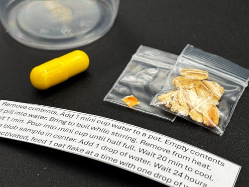 Mini Blob Kit - Slime Mold - Physarum polycephalum