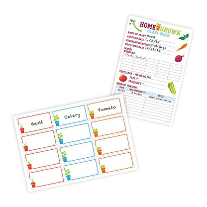 Home Grown Hydroponic Growing Kit - Tools & Instructions for No-Waste Kitchen Gardening. Ages 8 and up.