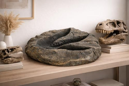 VEOJEIN Large Jurassic Dinosaur Footprint Fossil Replica – Realistic Resin Track Cast, Prehistoric Fossil Stone Décor Ancient Gift, Catch-All Tray for Keys Coins Jewelry – Shelf Decor 10.5" x 9.3"
