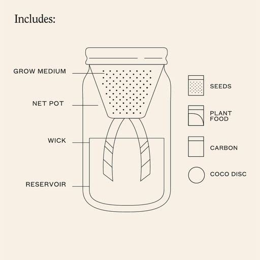 Modern Sprout Glass Jar Grow Set, Indoor Herb Garden, Seed Starter Set, Organic, Non-GMO, Parsley - color: Parsley