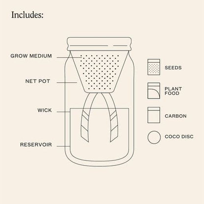 Modern Sprout Glass Jar Grow Set, Indoor Herb Garden, Seed Starter Set, Organic, Non-GMO, Parsley - color: Parsley