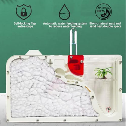 EXBEPE Ant Farm Castle for Kid Acrylic Ant Colony Observation Kit with Sand - style: S12