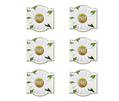 BUZZY Seeds Daisy Daydream Grow Kit 6-Pack, Mini Terracotta Pots, Indoor