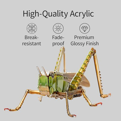3D Acrylic Insect Puzzle DIY Bug Model Kit Animal STEM Gift - color: Grasshopper